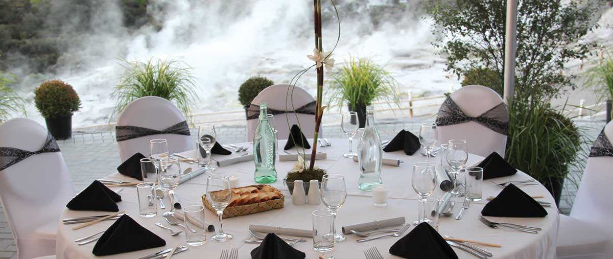 Rotorua Venues, Te Puia