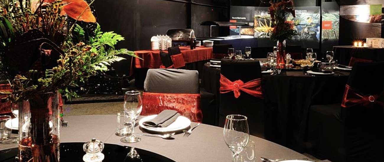 Rotorua Venues, Te Puia