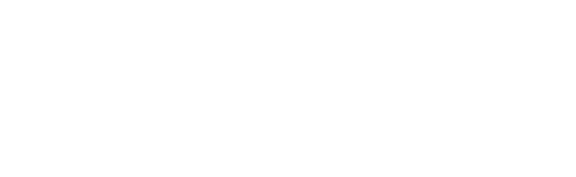 Sudima Hotels Tourism Excellence Award Large Business 2025, WINNER
