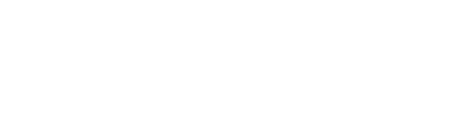 NZME Visitor Experience Award 2025, WINNER